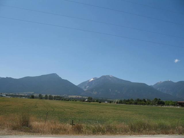 img_1699.jpg