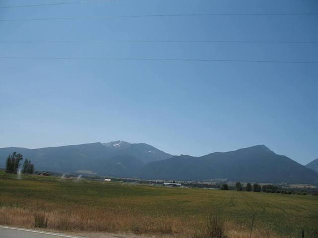 img_1700.jpg