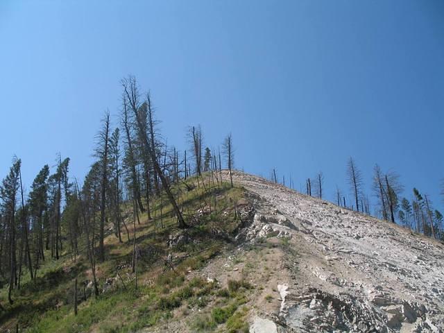 img_1711.jpg