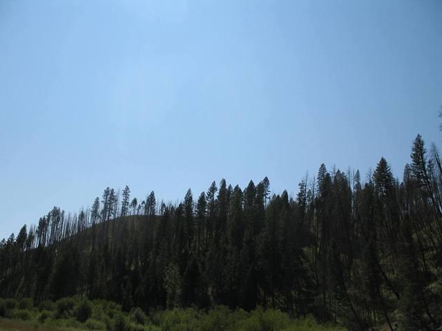 img_1712.jpg