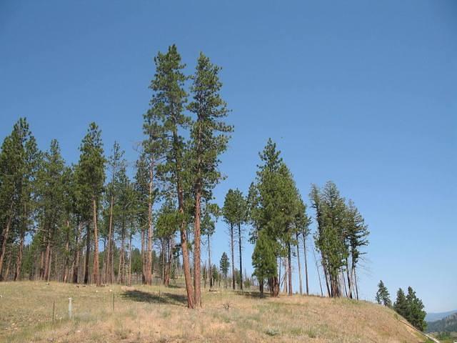 img_1715.jpg