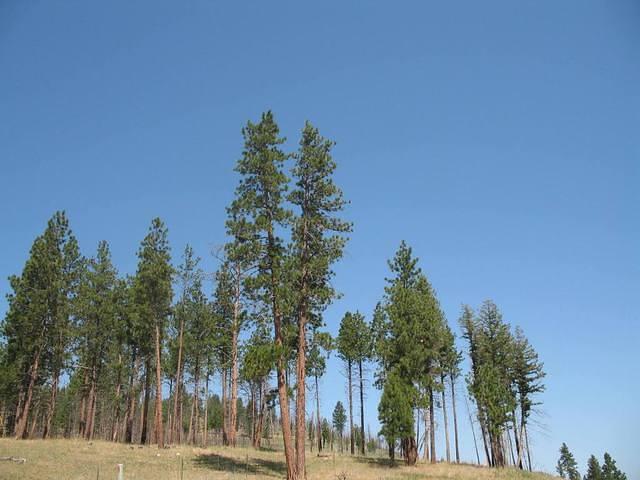 img_1716.jpg