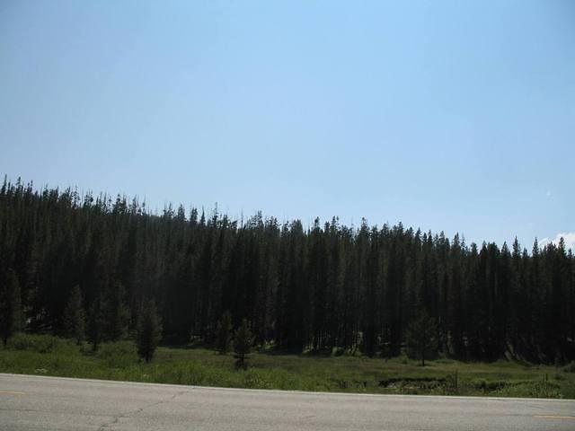 img_1724.jpg