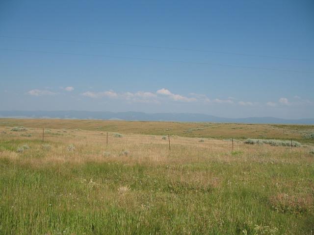 img_1729.jpg