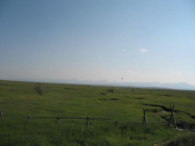 img_1730.jpg