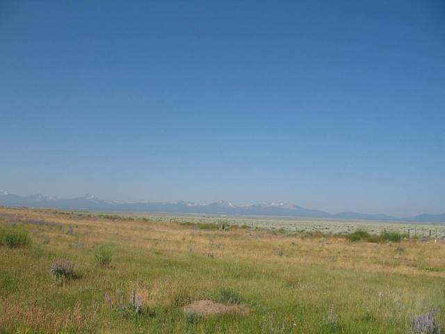 img_1742.jpg
