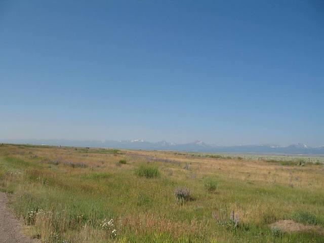img_1743.jpg