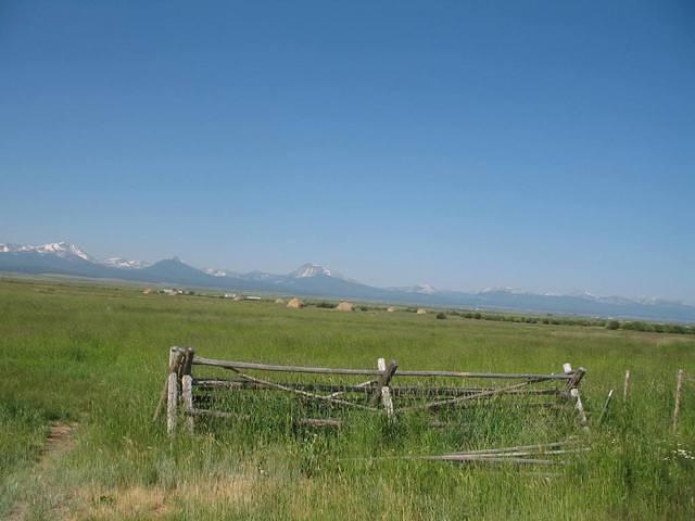 img_1749.jpg