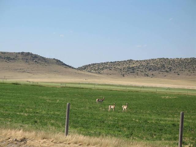 img_1775.jpg