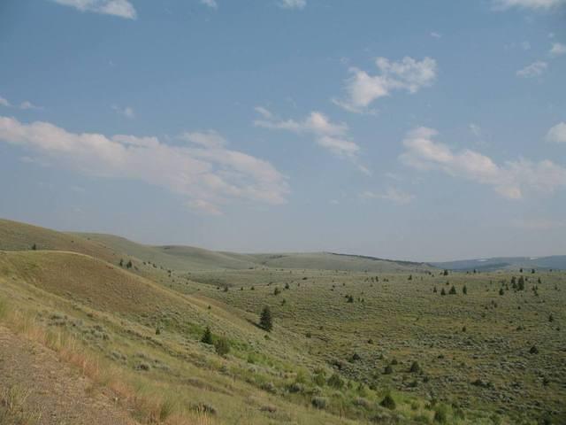 img_1800.jpg