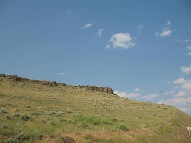 img_1802.jpg