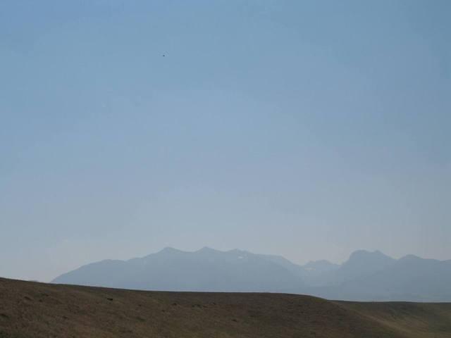 img_1817.jpg