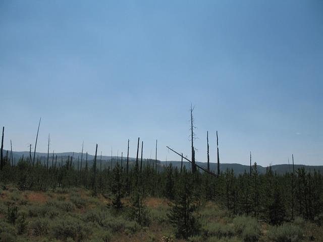 img_1841.jpg