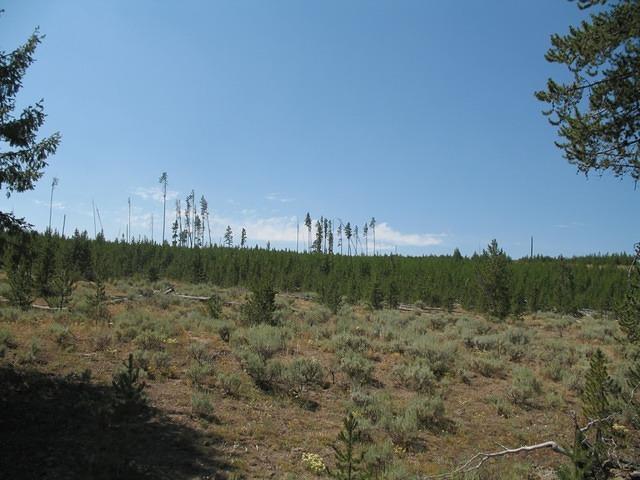 img_1842.jpg
