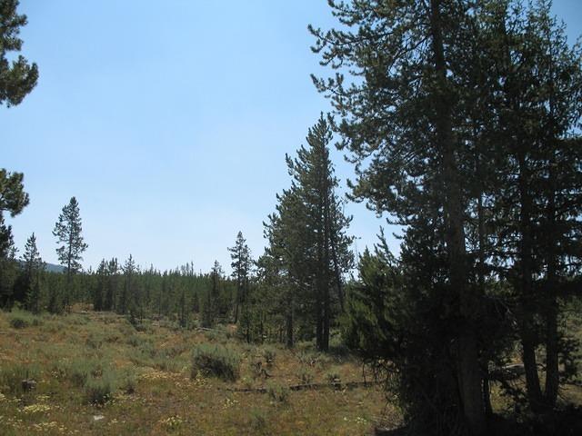 img_1843.jpg