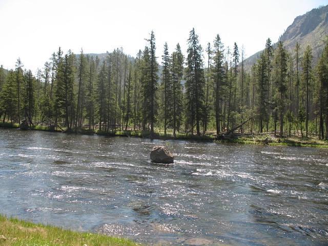 img_1853.jpg