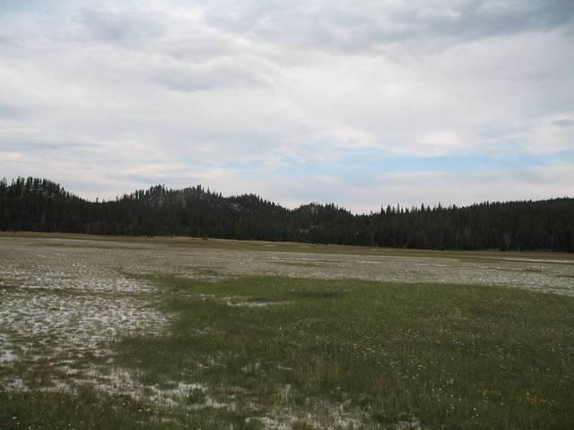 img_1940.jpg