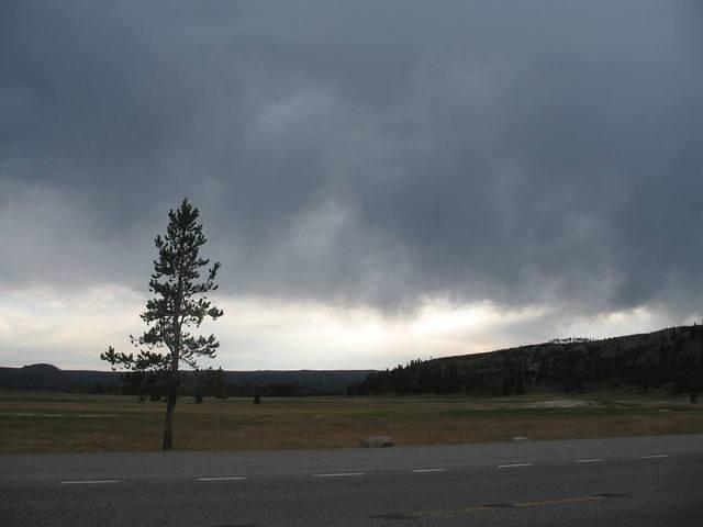 img_1941.jpg