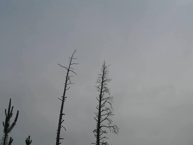 img_1950.jpg