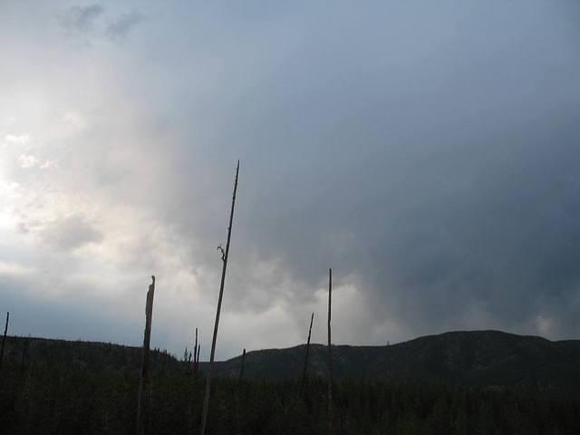 img_1953.jpg
