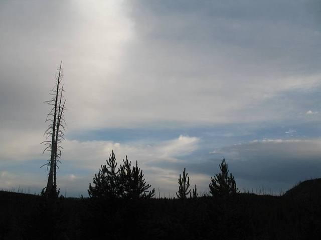 img_1955.jpg