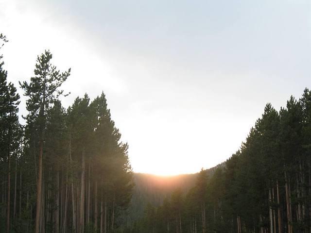 img_1958.jpg