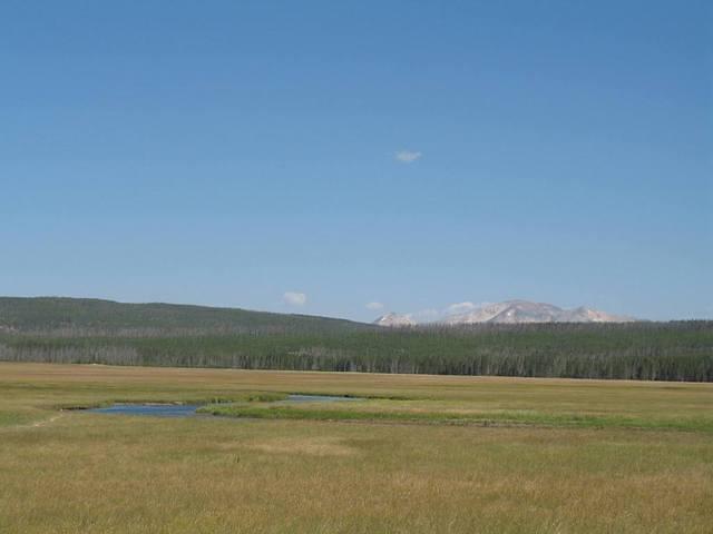 img_1972.jpg