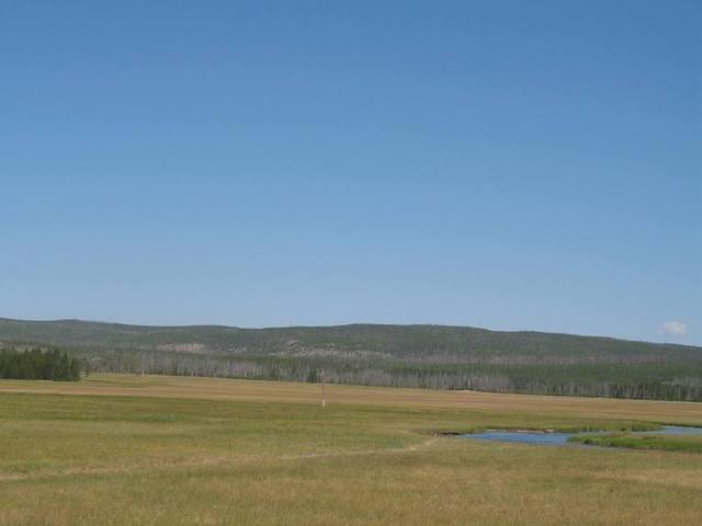 img_1974.jpg