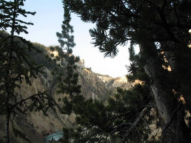 img_2011.jpg