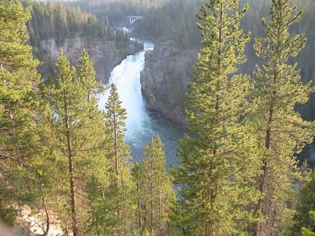 img_2020.jpg
