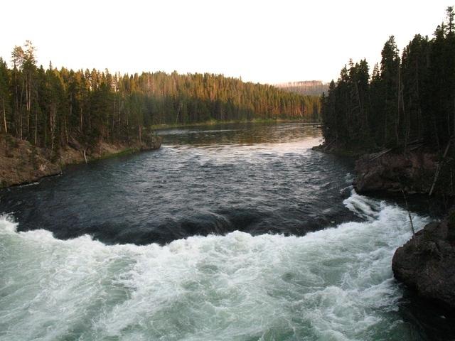 img_2021.jpg