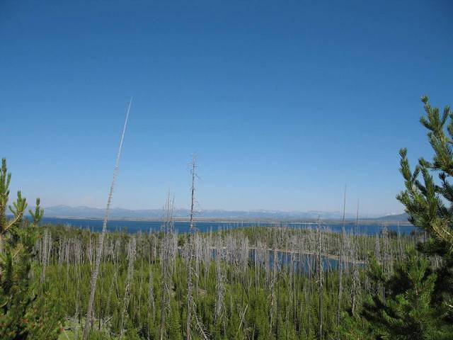 img_2044.jpg