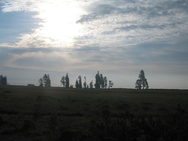 img_2075.jpg