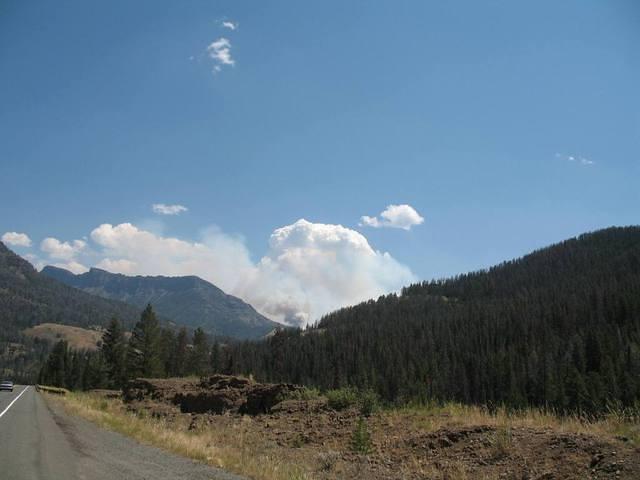 img_2113.jpg