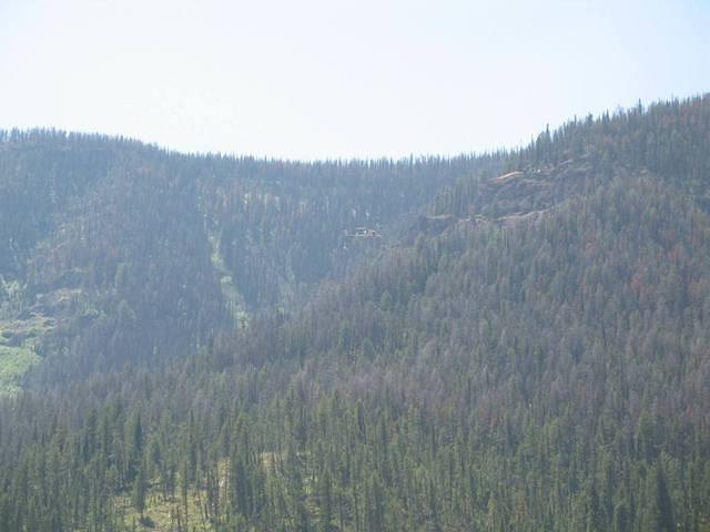 img_2120.jpg