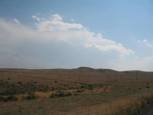 img_2181.jpg