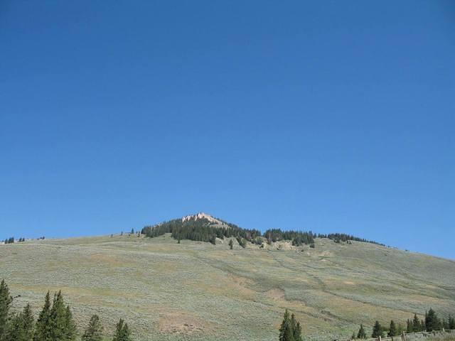img_2223.jpg