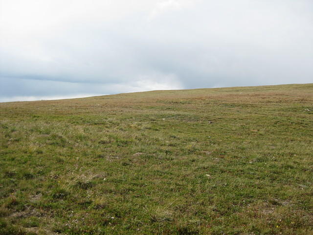 img_0705