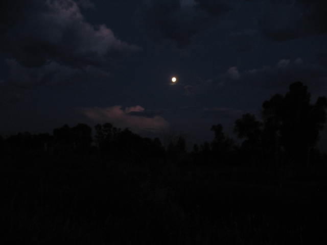 img_4576