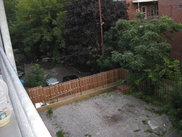 IMG_0136