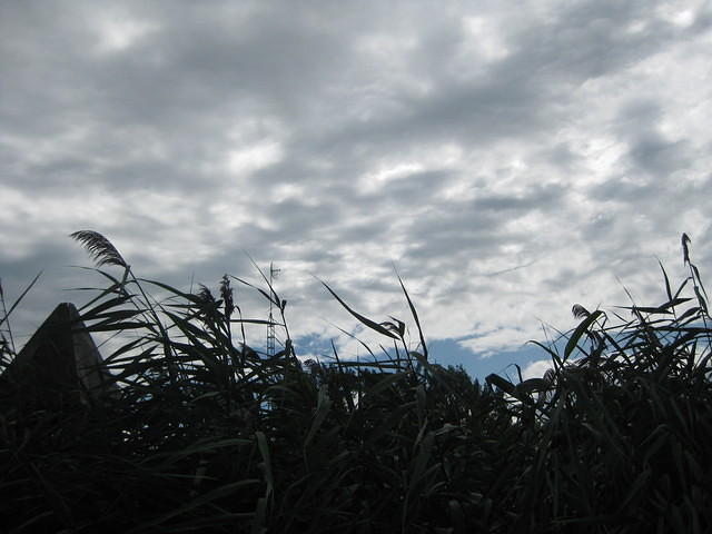 IMG_0150