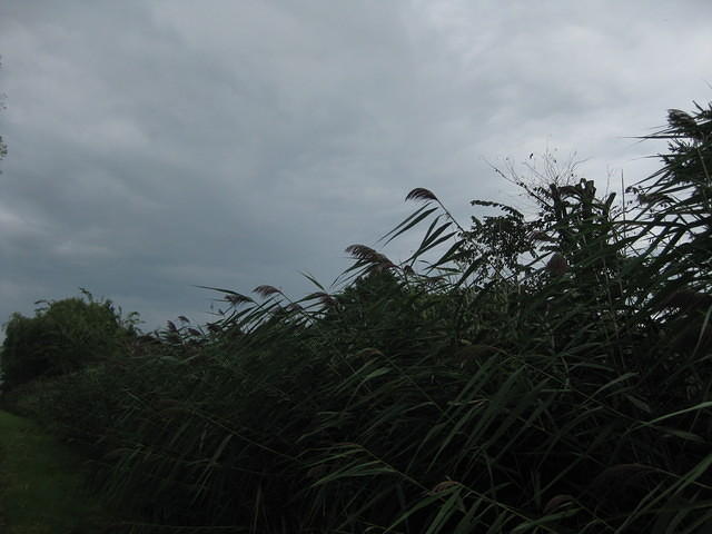 IMG_0151