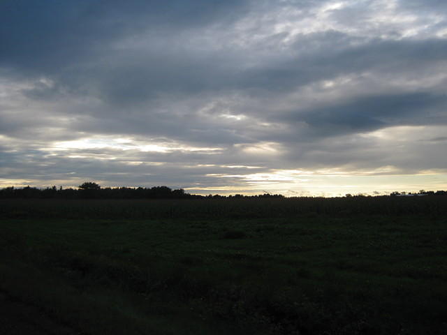 IMG_0167