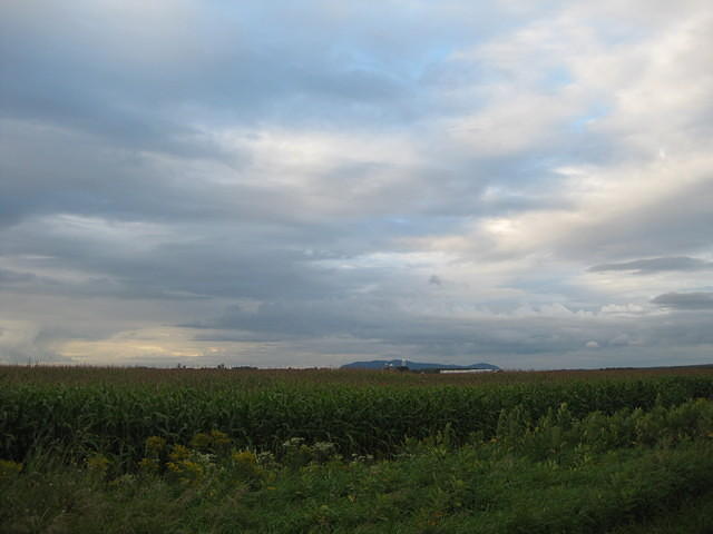 IMG_0178