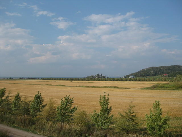 IMG_0354