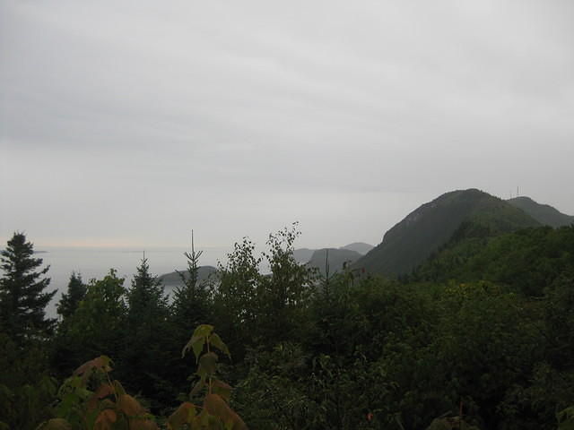 IMG_0418