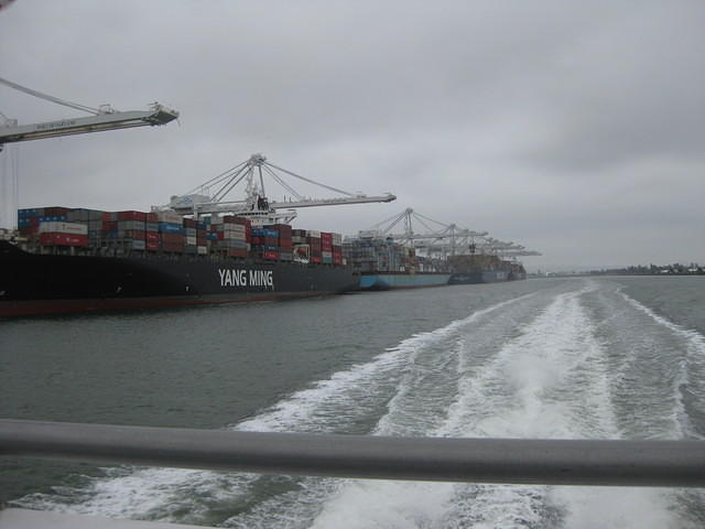 IMG 0820