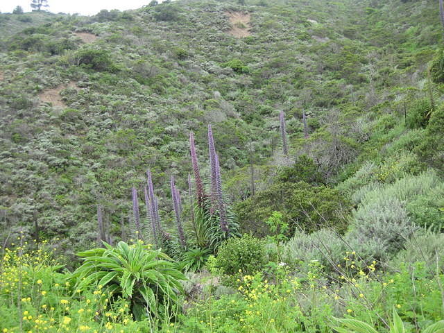 IMG 0827