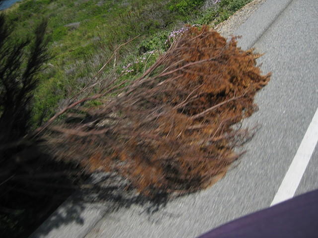 IMG 0830