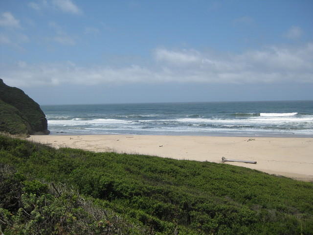 IMG 0833